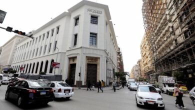 السيولة-بالعملات-الأجنبية-في-القطاع-المصرفي-المصري-ترتفع-إلى-79.5%-نهاية-2025